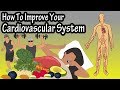 How To Improve Increase Your Cardiovascular System, Heart Rate, Endurance, Stamina And Fitness