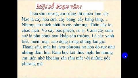 Viết đoạn văn ngắn về loài cây mà em thích năm 2024