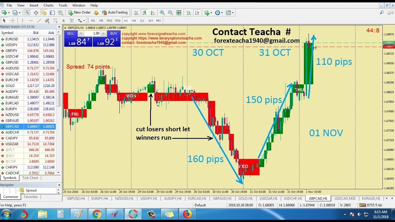 How To Trade Forex Like A Professional Forex Trader How To Master Forex Market Manipulation - 