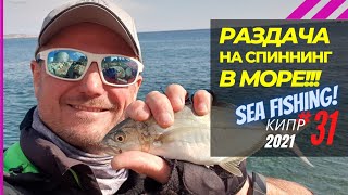видео: Раздача в море! Паламида,рыба дудка,сарган, это что-то! 🔥 Рыбалка на Кипре 🇨🇾 Часть - 31. Сезон 2021 картинка: Раздача в море! Паламида,рыба дудка,сарган, это что-то! 🔥 Рыбалка на Кипре 🇨🇾 Часть - 31. Сезон 2021
