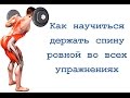 Как научиться держать спину ровной в любых упражнениях