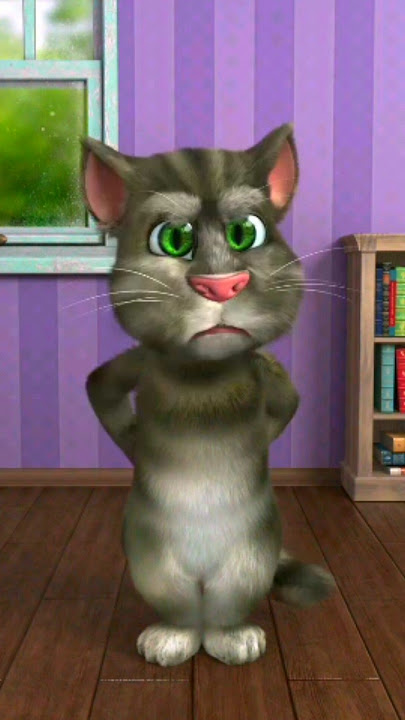 tomtom na #tomtom#shorts #cat