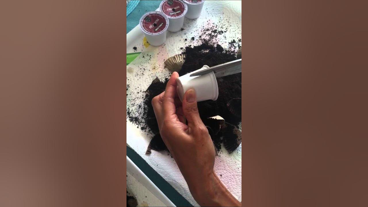 How to Recycle Compost KCups Quick & Easy No Mess! YouTube