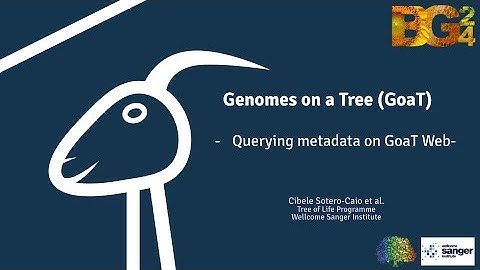 Genomes on a Tree: Session 2 (GoaT @ BGA24)
