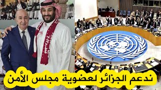 السعودية تؤكد دعمها الكامل للجزائر لشغل مقعد في مجلس الأمن الدولي