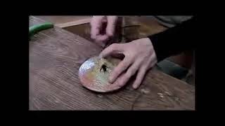 An Intro to Making Cane Handles for Pottery Sheila Clennell