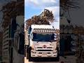🚧 Extreme Dump Truck Skills – Heavy Work Compilation#truck #farming