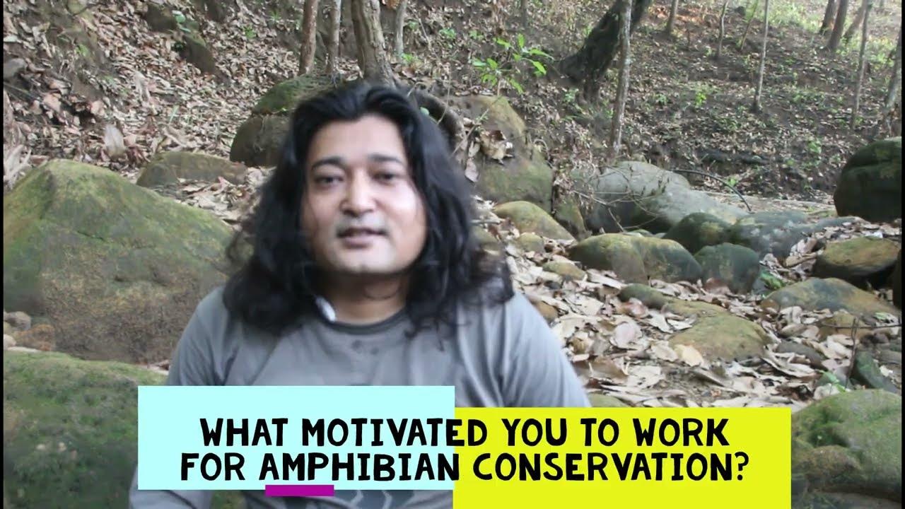 Why do Amphibians matter to me? || Conservationist's Elevator Pitch
