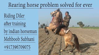 horse rearing problem solved by Indian Horseman Mehboob Subhai