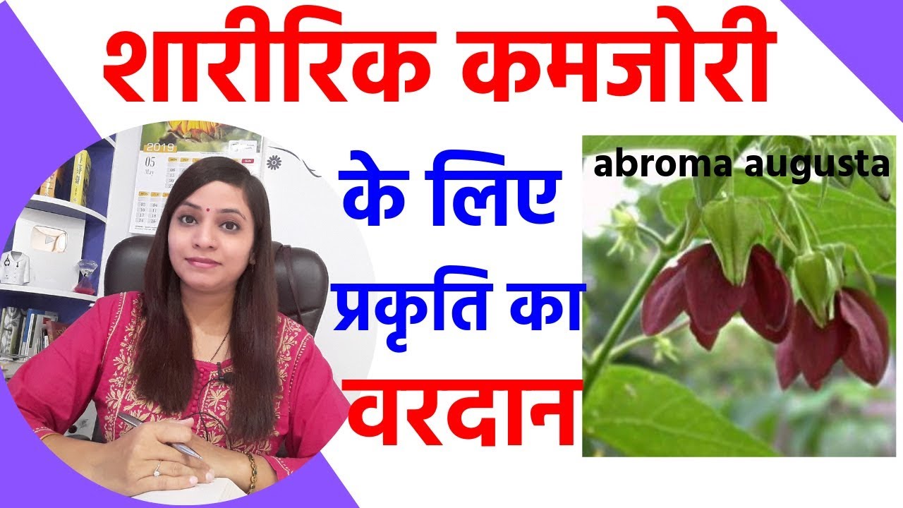 Abroma Augusta Homeopathic Medicine Abroma Augusta Mother Tincture Q In Hindi Uses Youtube