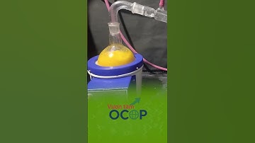 VỎ TRÁI CÂY ĐỪNG VỨT, HÍT ĐÃ #dacsanvietnam #nongsanhuuco #sanphamocop #shorts