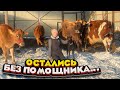 Не выдержал ТРАКТОР, теперь ручной труд | Молодая Ферма