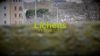 Lichens in the city: short film (10min, Scotland, 2016)