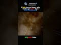 Why Can't Light Go Infinitely Fast?  #space #lightspeed #shorts