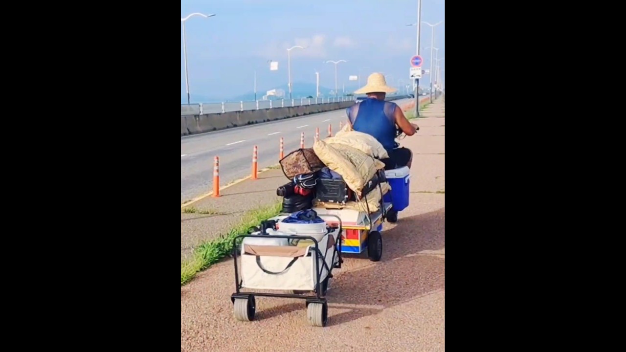 킥보드 트레일러 ! #shorts