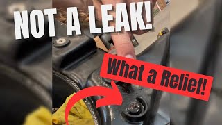 Harley Sportster “Oil Leak” Mystery SOLVED! 🚨 Net Worth
