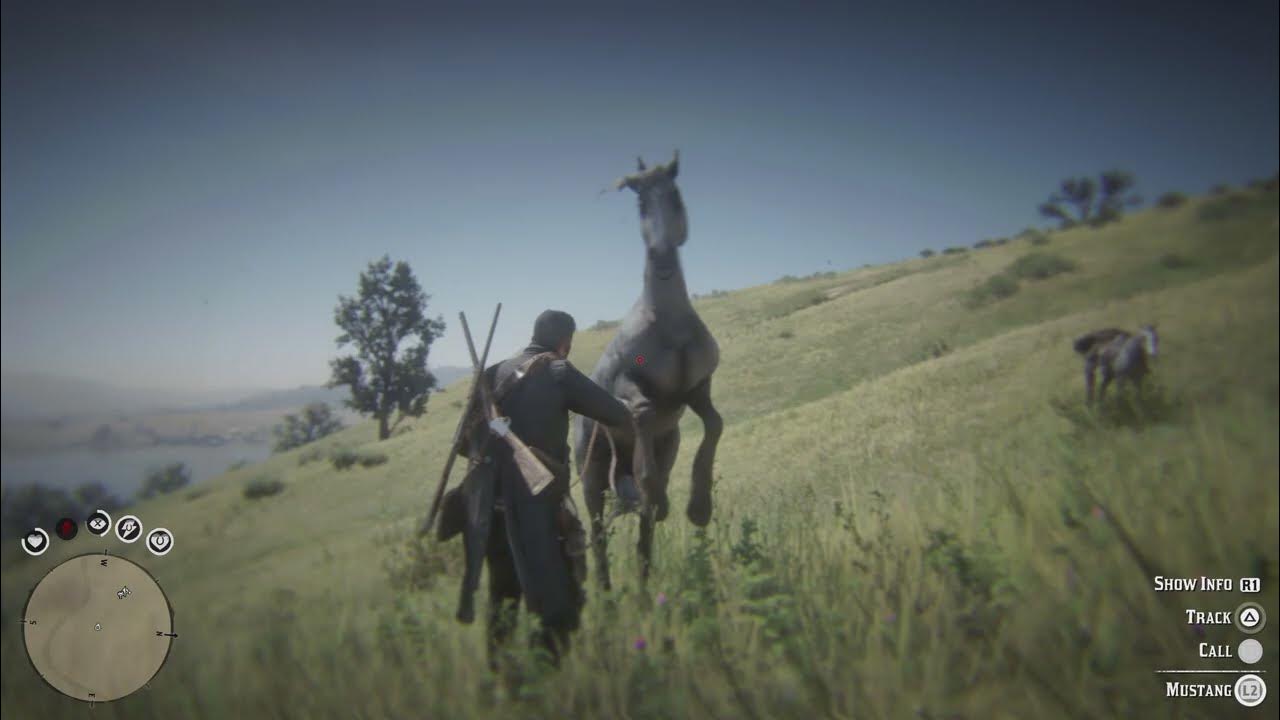 Rdr2 horseman challenge 10 mustang youtube