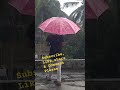 #Rain #Wibe🌧🌨🌦☔☔☔☔