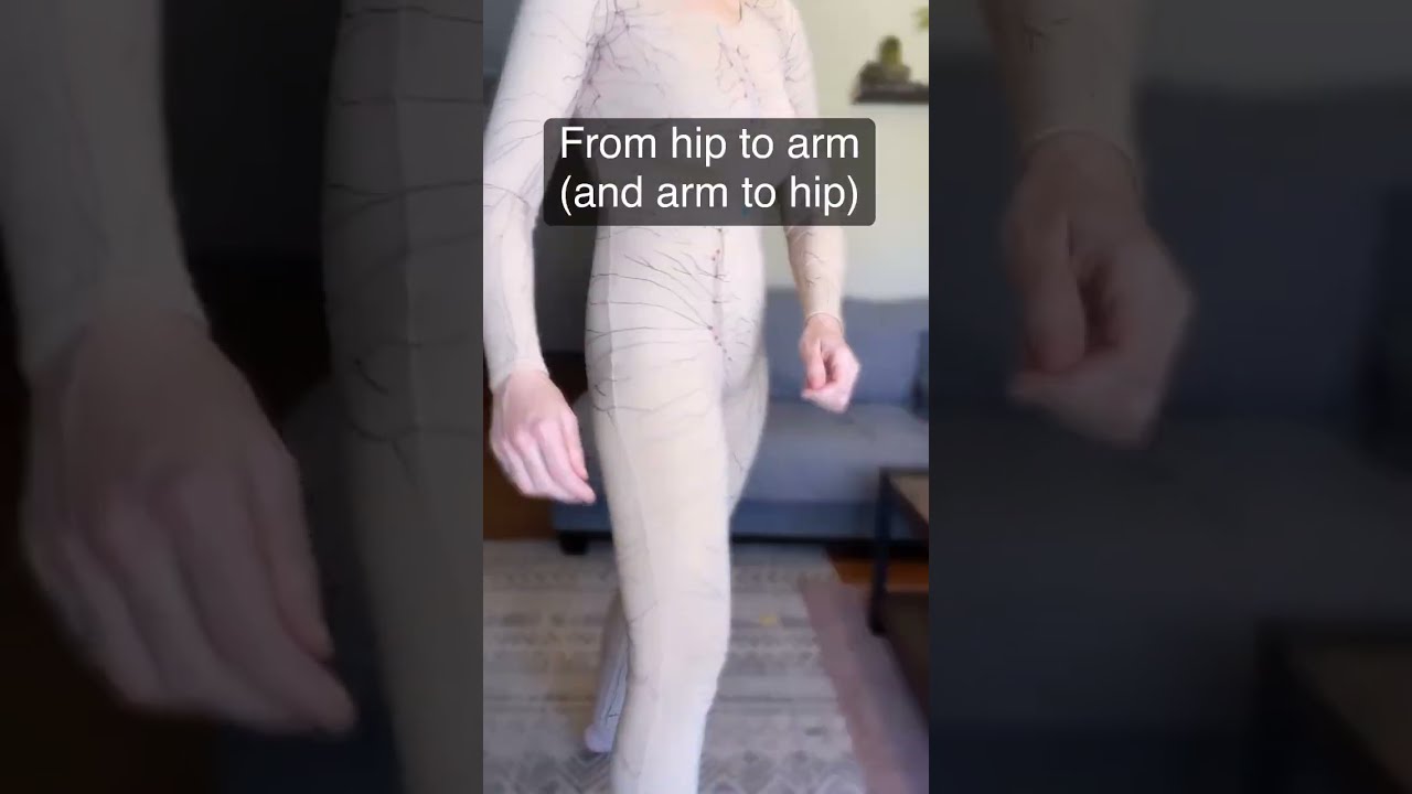 How Lymph Moves Across Your Body