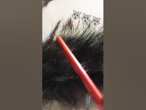 делаю хвостики для квадробики###٩(๑ ᴗ ๑)۶ - YouTube