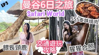 曼谷Safari World 遊玩交通攻略 | 野生動物園 | 超近距離￼￼￼餵長頸鹿 | 動物表演| Thong Lo抵食燒肉| natkongnk