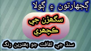 Sindhi Gujharat Sindhi Sughar Kachahri, Sindhi sakafat by. Siyal Hayat