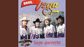 Video thumbnail of "Hermanos Vega De Ramon Vega - El Huerfanito"