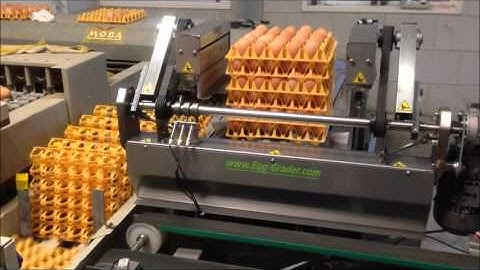 DTG OPTISTACK Traystacker for eggs