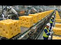 Inside the Cheese Industry: How Milk Becomes Cheese Blocks