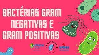 Bactérias Gram Positivas e Gram Negativas - por Gabriella Sityá Moojen da Silveira.