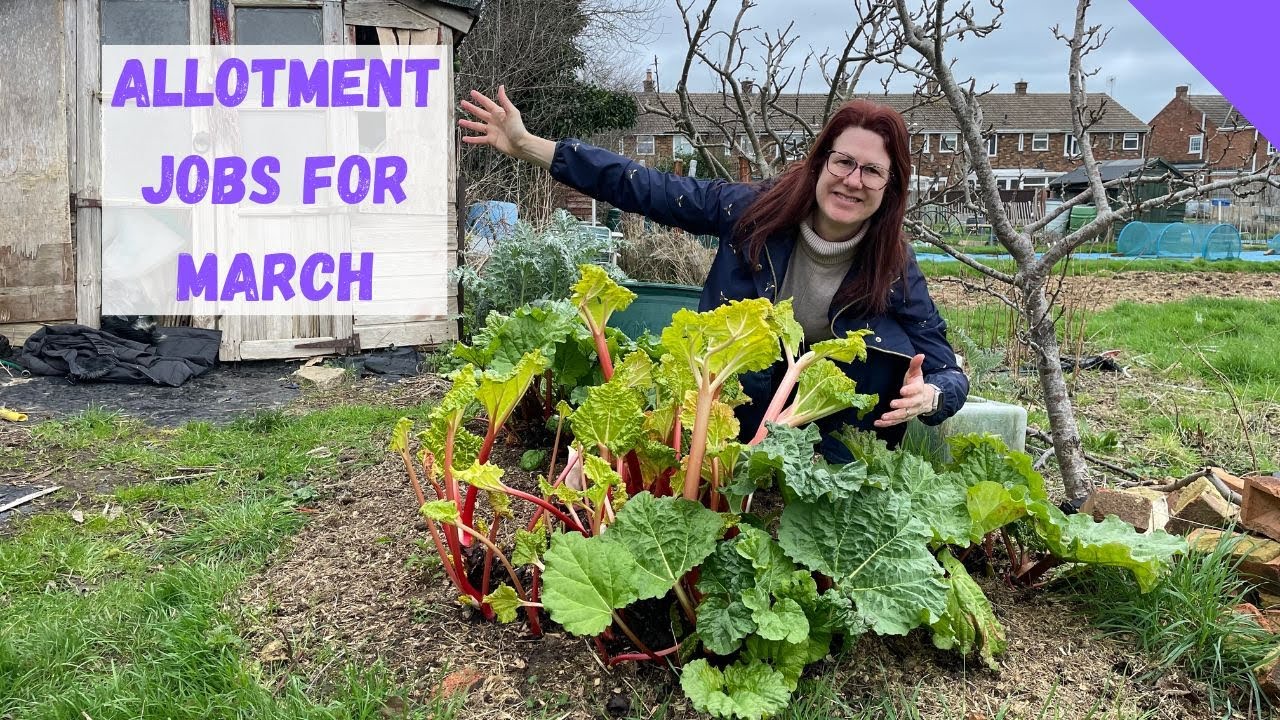 Allotment Jobs For March - Allotment Gardening For Beginners UK - YouTube
