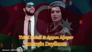 Tural Sedali ft Aygun Agayeva - Alindi Torpaglarimiz (Tam Versiya) Resimi
