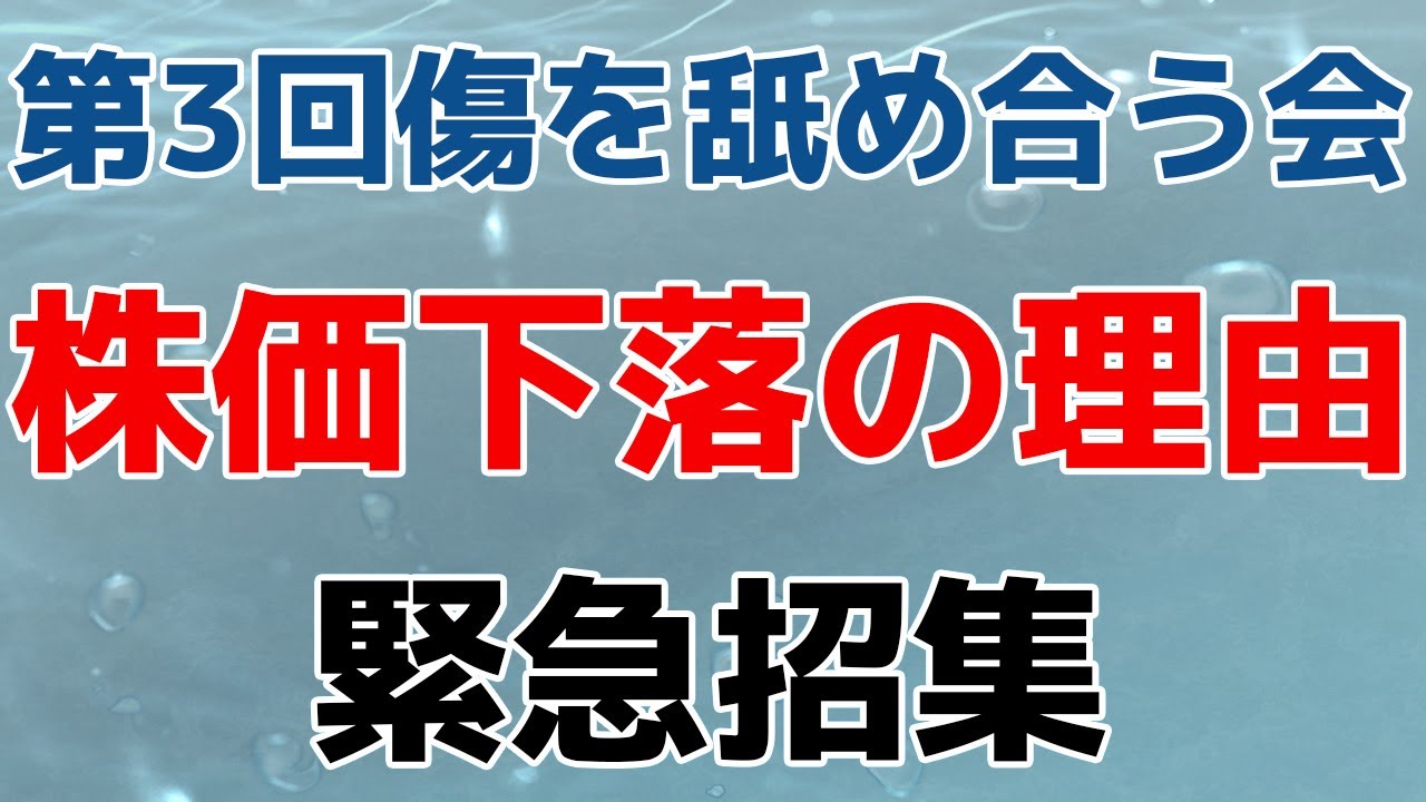 第3回傷を舐め合う会 株価大幅下落の理由 Youtube 第3回傷を舐め合う会 株価大幅下落の理由 Youtube