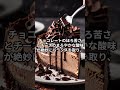 アメリカ：ニューヨークチョコレートチーズケーキ