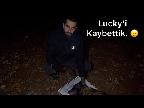 Lucky’ Kaybettik 😢