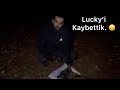 Lucky’ Kaybettik 😢