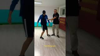 Wing Chun Naumov Self-defense-Master Lazo Naumov wingchun martialarts kungfu sports