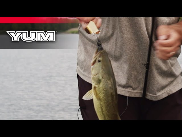 How To Rig a YUM Tip Toad On A Buzzbait 