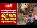 അണലിയുടെ പുറത്ത് കയറിയ മൂർഖൻ കുഞ്ഞ് വാവാ സുരേഷിനെ കടിച്ചു | Vava Suresh  | Snakemaster EP 1181