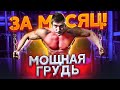 Мощная тренировка груди! Андрей Гюлназарян.