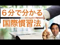【国際法】国際慣習法って何？（毛布を送らないと国際法違反？）