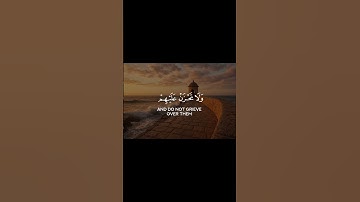 سورة النحل الآيات (١٢٧-١٢٨)
