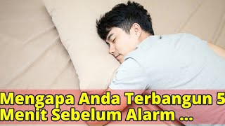 Mengapa Anda Terbangun 5 Menit Sebelum Alarm Berbunyi?