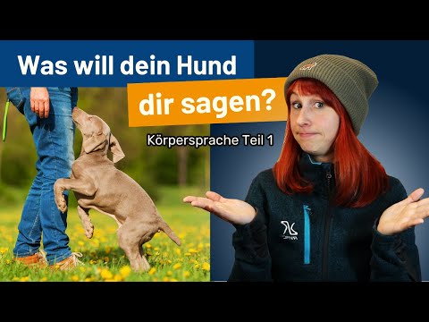 Video: Verwenden Sie Ihre Körpersprache, um Ihrem Hund zu helfen, sich zu benehmen