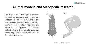 The importance of animal models in biomedical research