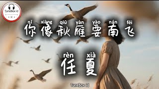 任夏 - 你像秋雁要南飞 | Ren Xia - Dirimu seperti angsa musim gugur yang terbang ke selatan @TuneBoxId 
