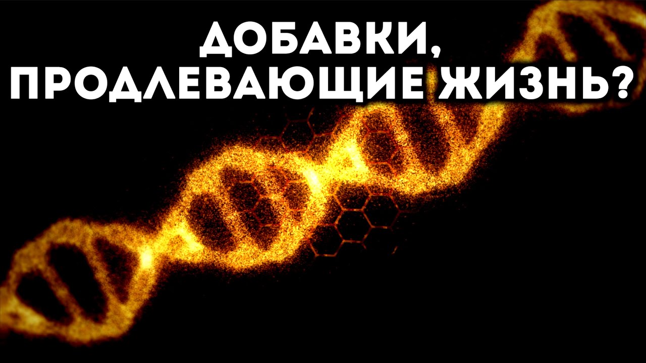 Геропротекторы и добавки, продлевающие жизнь - YouTube