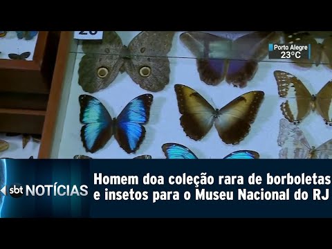 Vídeo: Museu das Borboletas no VDNKh: resenha, história, características e resenhas