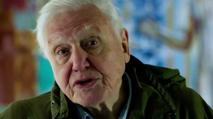 Sir David Attenborough warns that humans ‘have overrun the world’ in new trailer