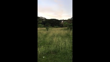 Eachine Wizard x220 test flight